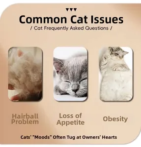 Infographie présentant les bienfaits pour chats comme le contrôle des boules