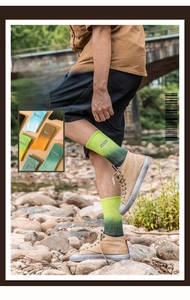 Close-up of yellow and green gradient cotton crew socks featuring AURORA letter embroidery