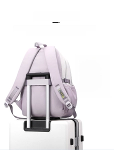 Detail view of backpack luggage strap and hidden anti-theft pocket for tablets