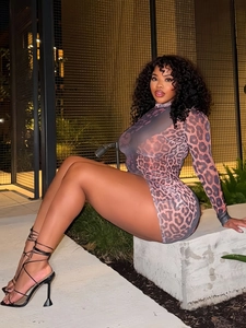 Sexy leopard print long sleeve mini dress with high neck and slim fit bodycon silhouette