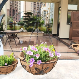 Hanging metal wire planter with coconut liner and decorative butterfly detail for garden