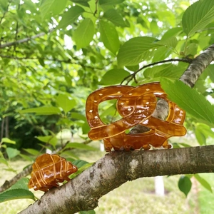 Set de pinces à cheveux en acétate ambré aux formes de bretzel et croissant pour femme