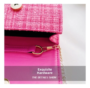 Detail of pink tweed texture with gold magnetic buckle and delicate metal chain strap