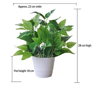 Close-up of 28cm faux pothos plant in white pot with detailed size measurements