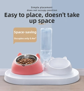 Dual pet feeding station with stainless steel bowl and automatic water bottle on tray