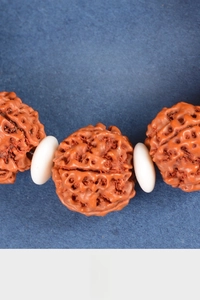 Macro shot of Nepal Rudraksha beads showing deep brain textures and white spacer beads