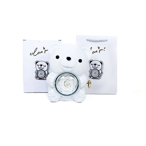 Rotating teddy bear gift box with white preserved rose and matching love you carrier bag