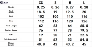 Detailed size chart for women's V-neck embroidered blouse showing chest and sleeve measurements