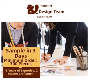 Professional pet carrier design team working on sample development and pattern making process