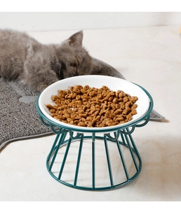 Close-up of white ceramic elevated cat bowl with green metal stand and dry pet food