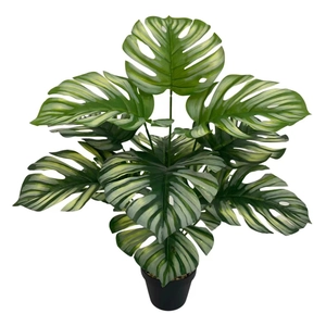 Close-up of artificial Monstera plant with green and white striped leaves in a black pot