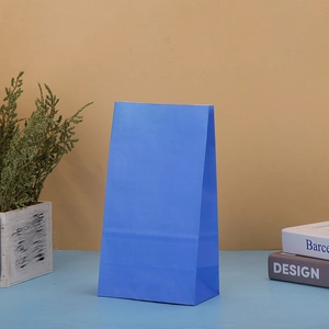 Blue kraft paper gift bag for birthday parties shown with decorative plants and books