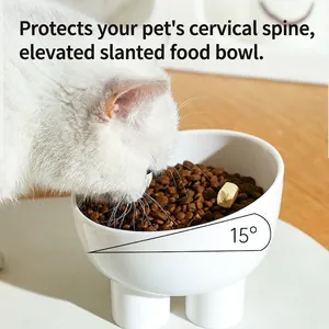 Gamelle surélevée en céramique inclinée à 15 degrés pour chats et petits chiens ergonomique