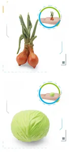 Detailed scale view of mini resin onion and cabbage models with weight specifications