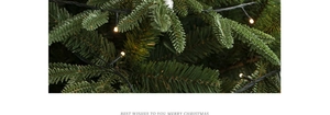 Macro shot of warm white micro LED string lights on deep green Christmas tree branches
