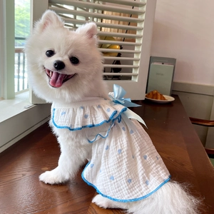 Detail view of white pet dress with blue heart print and bow on Pomeranian model