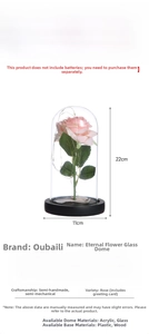 Preserved rose lamp in clear acrylic cover with LED lights and 11x22cm dimensions