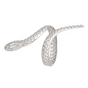 Detailed view of a silver snake ring featuring realistic scale textures and a spiral wrap