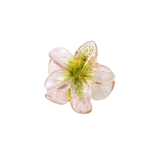 Macro d'une pince à cheveux fleur de 4cm transparente à paillettes avec dégradé rose vert