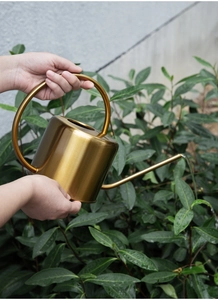 Action shot of long-spout golden stainless steel watering can pouring water on plants