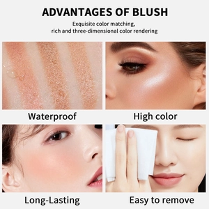 Waterbestendig 6-kleuren highlighter blush palette met langdurige finish en swatches