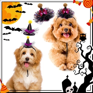 Close-up of adjustable Halloween pet wizard hats with sequins and mesh on dogs