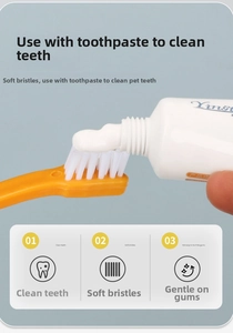 Detail of pet toothbrush with soft white bristles and orange handle applied with toothpaste