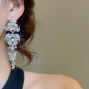 Detail of elegant silver drop tassel earrings with sparkling crystals worn by model