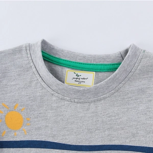 Grey cotton boys T-shirt with dinosaur sun print and green ribbed crew neck detail