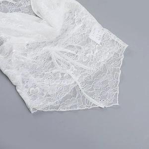 Gros plan sur le tissu en dentelle blanche avec motifs de crochet complexes et bords festonnés