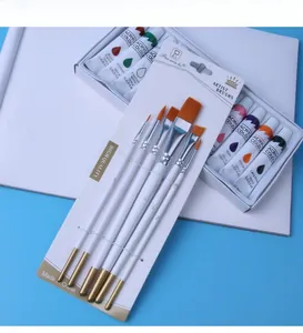 Detail view of 6 professional paint brushes and 12ml acrylic color tubes on white canvas