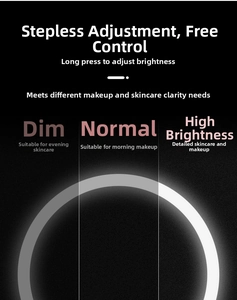 LED makeup mirror detail showing stepless dimming with three brightness levels