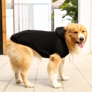 Detail of black pet hoodie with zipper pocket on golden retriever in outdoor setting