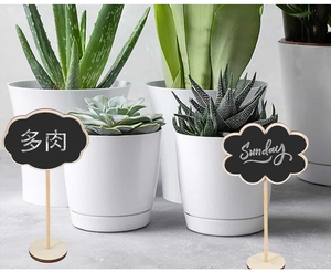 Cloud-shaped mini wooden chalkboard signs used as plant labels in white flower pots