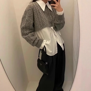 Maglione Corto In Maglia A Trecce Da Donna Girocollo Maniche Lunghe Tinta Unita Maglieria In Poliestere Top Pullover Largo Grigio