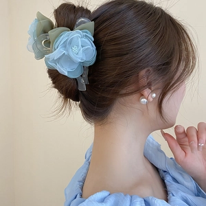 Détail d'une pince à cheveux élégante en dentelle avec fleurs en mousseline et perles