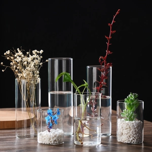 Clear borosilicate glass cylindrical hydroponic plant vases on dark wooden surface