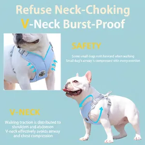 Sky blue reflective V-neck dog harness for French Bulldogs with adjustable straps