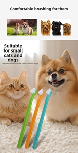 Close-up of three colorful pet toothbrushes with small heads for cats and small dogs