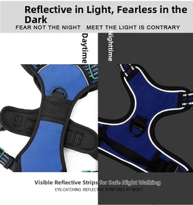 Detail of blue pet harness with reflective strip showing high visibility in dark night