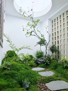 Modern indoor landscape featuring lush artificial moss, rocks and zen garden stones