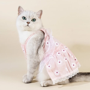 Detail of pink pet dress with white flower print and delicate white lace trim