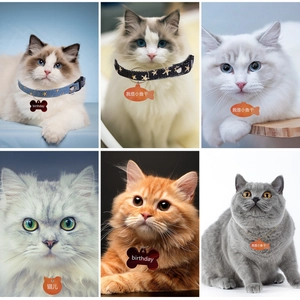 Gepersonaliseerde huisdierpenningen in botvorm met unieke harsgravure voor kat en hond