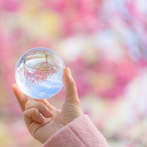 Nordic leaf crystal ball ornament showing clear cherry blossom reflection in hand