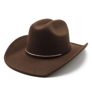 Detail of dark brown wool felt cowboy hat with gold curved metal trim and black band