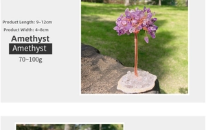 Detail of amethyst money tree with wire wrapped trunk on agate base, 9-12cm tall