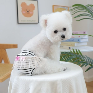 Puppy in striped pet physiological pants with pink bow and lace trim in cozy home setting