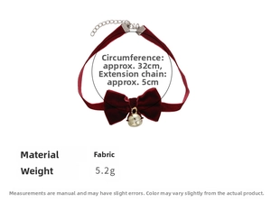 Vue détaillée du collier choker en velours bordeaux avec clochette dorée et chaînette