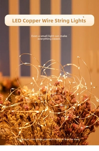 Detail of warm white LED copper wire fairy lights wrapped around a bouquet of dried flowers