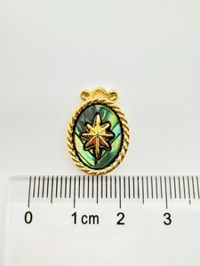 Detailed macro view of an oval shell pendant with gold star and ruler for size scale